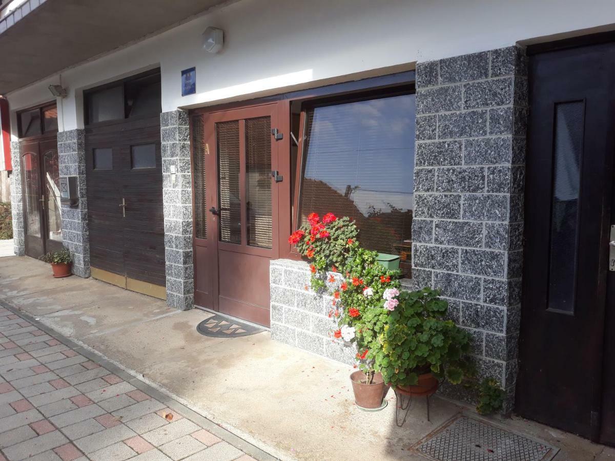 Kristanic Apartment